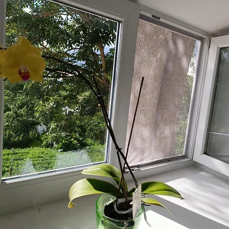 Maeo Apartment Apartment Mao